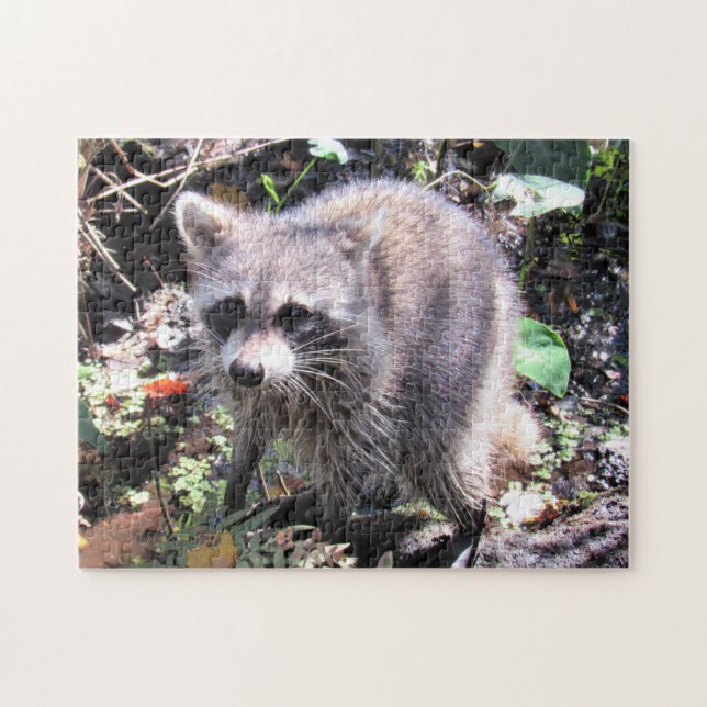 Cute Baby Racoon Foraging Jigsaw Puzzle (Horizontal)