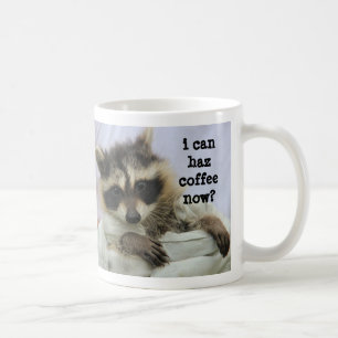 Cute Baby Racoon Mug, I can haz coffee now? Mug