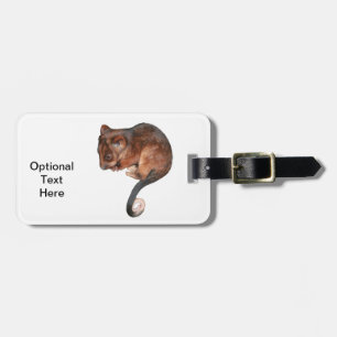 Cute Baby Ringtail Possum Luggage Tag