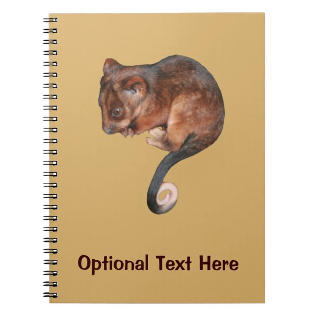 Cute Baby Ringtail Possum Notebook (Front)