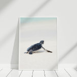 Cute Baby Sea Turtle on the Beach Poster<br><div class="desc">This cute Baby Sea Turtle on the Beach Poster is great for decorating a coastal home.</div>