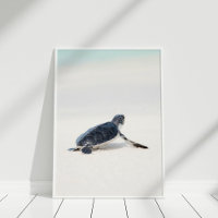 Cute Baby Sea Turtle on the Beach