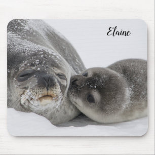 Cute Baby Seal and Mum Mouse Pad