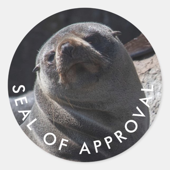 Cute baby seal of approval sticker (Front)