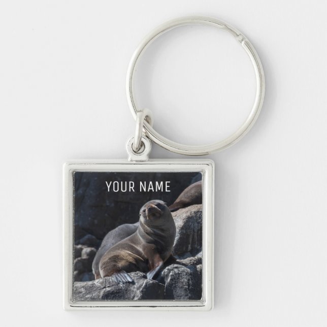 Cute Baby Seal on the Rocks Tasmania Australia Key Ring (Front)