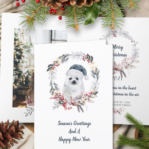 Cute Baby Seal Watercolor One Photo Christmas Holiday Card