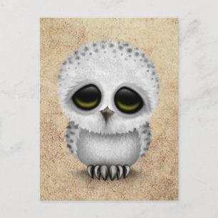 Cute Baby Snowy Owl Chic on Aged Texture Postcard