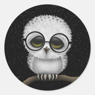 Cute Baby Snowy Owl Wearing Glasses with Stars Classic Round Sticker