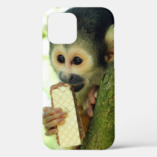 Cute Baby Squirrel Monkey Eating a Wafer Biscuit iPhone 12 Case