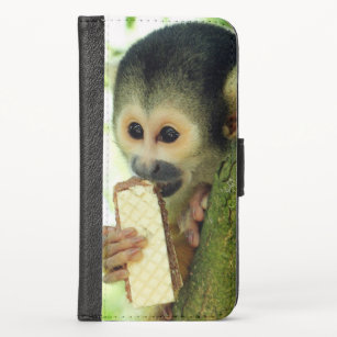 Cute Baby Squirrel Monkey Eating a Wafer Biscuit Case