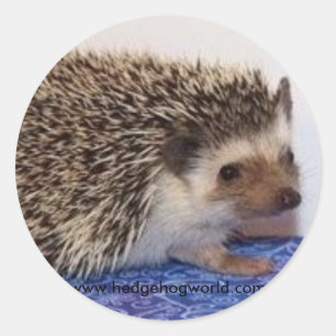 Cute baby sticker