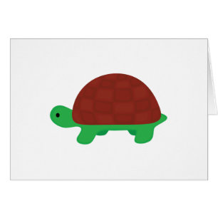 cute baby tortoise