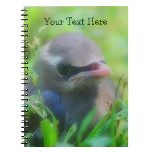 Cute Baby Waxwing Bird Animal Notebook (Front)