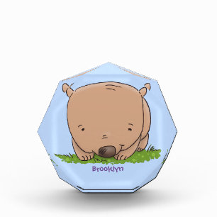 Cute baby wombat cartoon illustration photo block