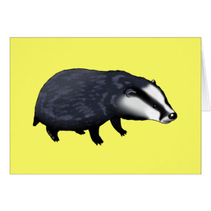 Cute badger