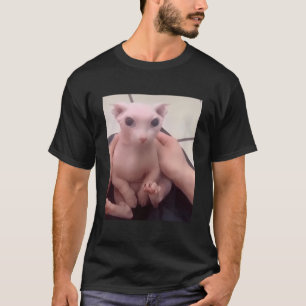 Cute Bald Bingus My Beloved Hairless Sphinx Cat T-Shirt
