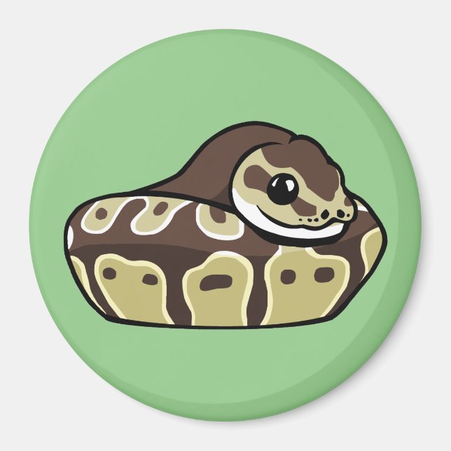 Cute Ball Python Pet Snake Drawing Fridge Magnet (Front)