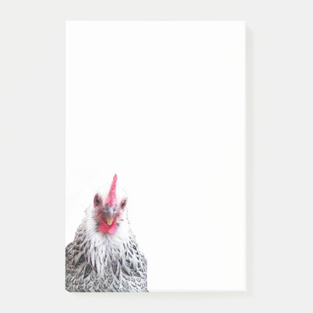 Cute Bantam Cochin Hen Photo 4x6 Notes (Front)