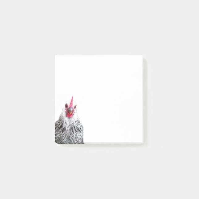 Cute Bantam Cochin Hen Photo Note Pad (Front)