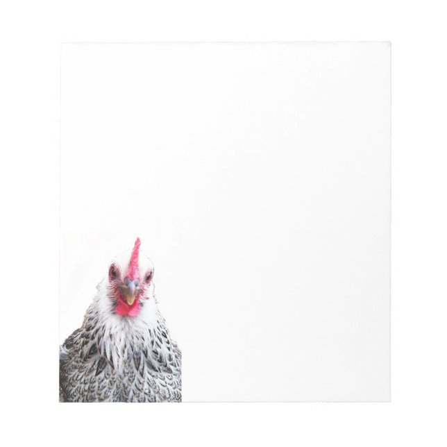 Cute Bantam Cochin Hen Photo Notepads (Front)