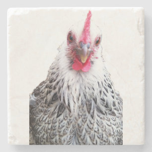 Cute Bantam Cochin Hen Photo Stone Coaster