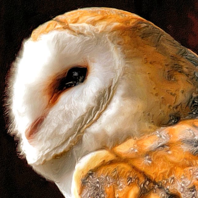 CUTE BARN OWL CARD (Creator Uploaded)