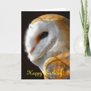 CUTE BARN OWL CARD