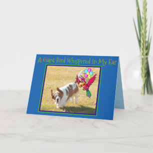 Cute Basset Hound & Bird on Funny Birthday Card