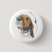 Cute Basset Hound Loveable Close Up