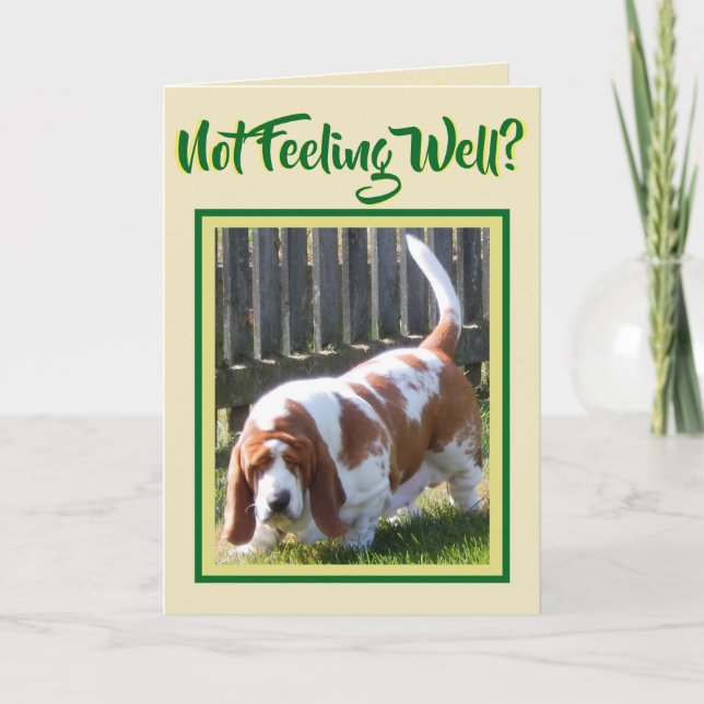 Cute "Basset Hound" W/Daisy On "Get Well" Card (Front)