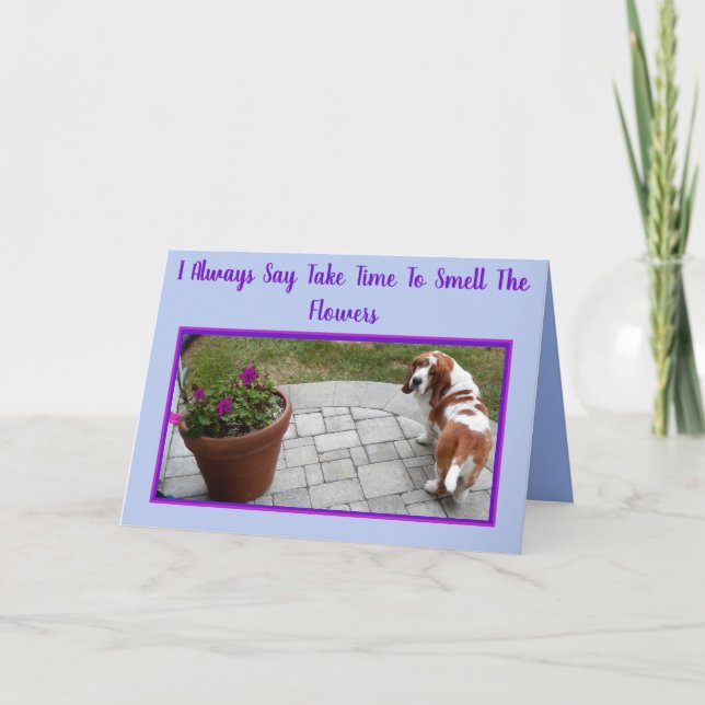 Cute Basset W/Flowers & Ice Cream on Birthday Card (Front)