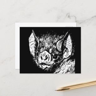 Cute bat face. Graphics, drawing. Postcard