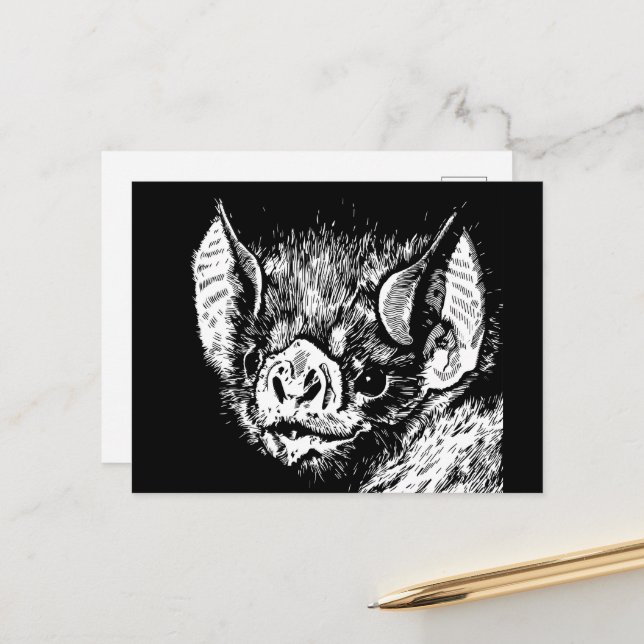 Cute bat face. Graphics, drawing. Postcard (Front/Back In Situ)