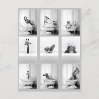 Cute Bathroom Animals in Bathtub