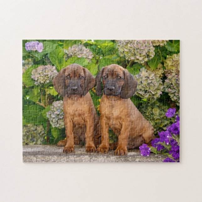 Cute Bavarian Mountain Hound Puppies with Flowers Jigsaw Puzzle (Horizontal)