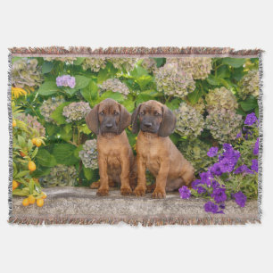 Cute Bavarian Mountain Hound Puppies with Flowers Throw Blanket