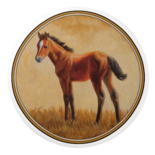 Cute Bay Quarter Horse Foal Ceramic Knob (Front)
