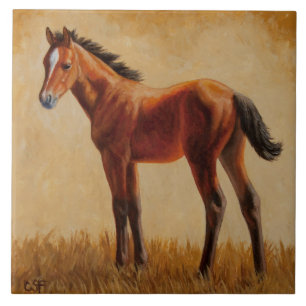 Cute Bay Quarter Horse Foal Tile
