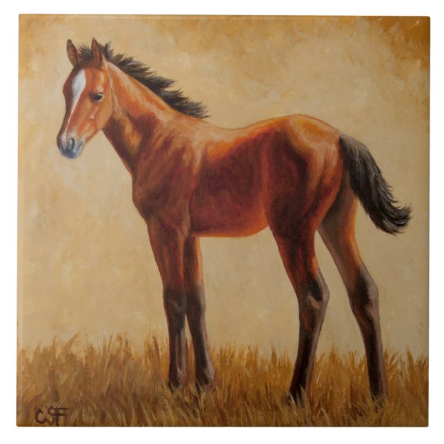 Cute Bay Quarter Horse Foal Tile (Front)