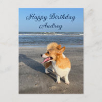 Cute Beach Corgi Personalised Happy Birthday