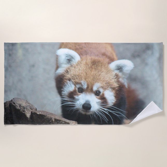 Cute Beach Towel (Front)