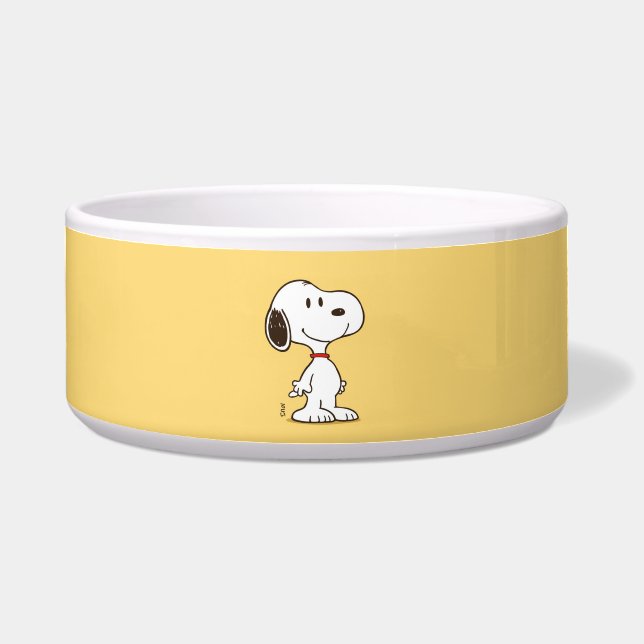 Cute Beagle Cartoon Character Illustration (Front)
