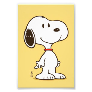 Cute Beagle Cartoon Character Illustration Photo Print