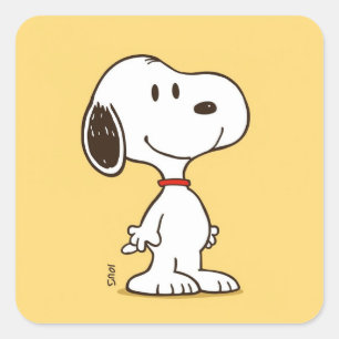 Cute Beagle Cartoon Character Illustration Square Sticker