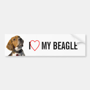 Cute Beagle Dog Bumper Sticker
