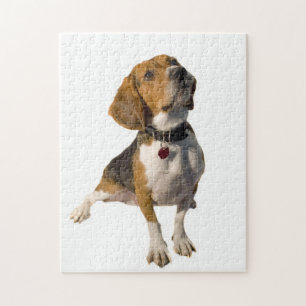 Cute Beagle Dog Jigsaw Puzzle
