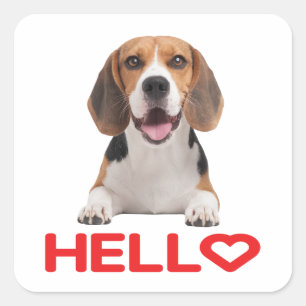 Cute Beagle Dog Lover Red Heart Hello Friendship Square Sticker