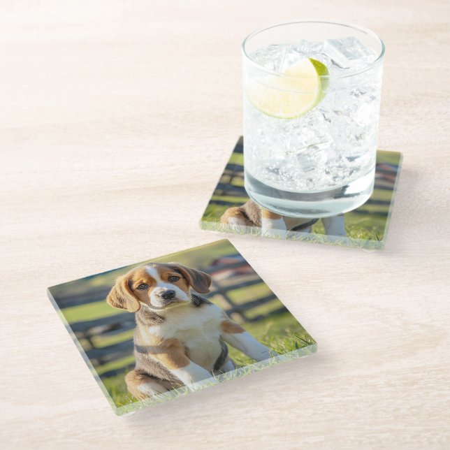 Cute Beagle Glass Coasters (Angled)