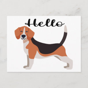 Cute Beagle Hello Funny Puppy Dog Thinking of You Postcard