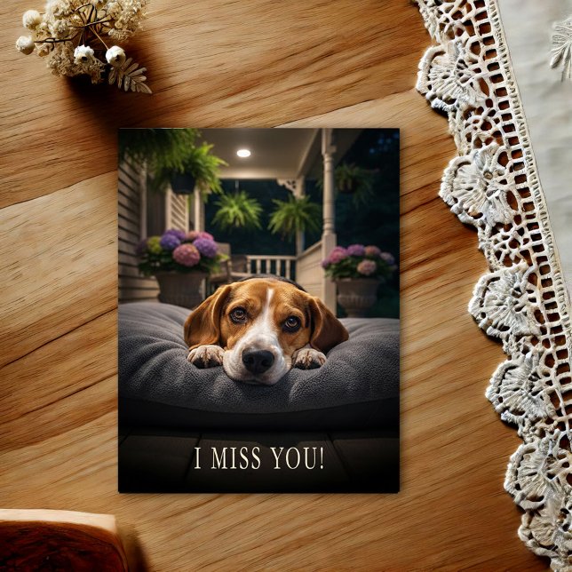 Cute Beagle I Miss You Postcard (Creator Uploaded)